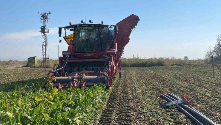 Eskişehir Alpu’da Kaymakam Sönmezel, şeker pancarı hasadında çiftçilerle buluştu