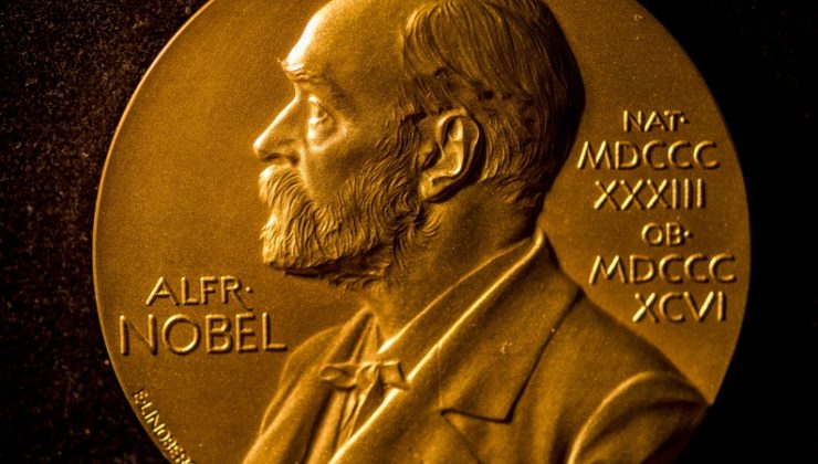 Francis Halzen, 2026 Nobel Fizik Ödülü’nü IceCube katkılarıyla kazandı