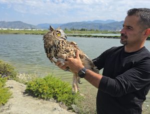 Hatay Samandağ’da ateşli silahla yaralanan koruma altındaki puhu tedaviye alındı