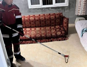 Hatay Samandağ’da yerleşim alanında görülen yılan itfaiyece yakalanıp doğaya salındı