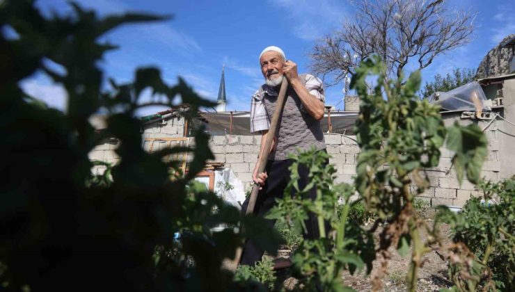 Hatay’da 90 yaşındaki depremzede enkazı bahçeye çevirip ürünleri hayrına dağıtıyor