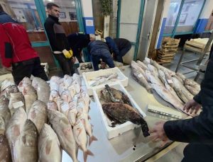 İzmir Buca Balık Hali’nde 45 kilo yasa dışı su ürününe el konuldu