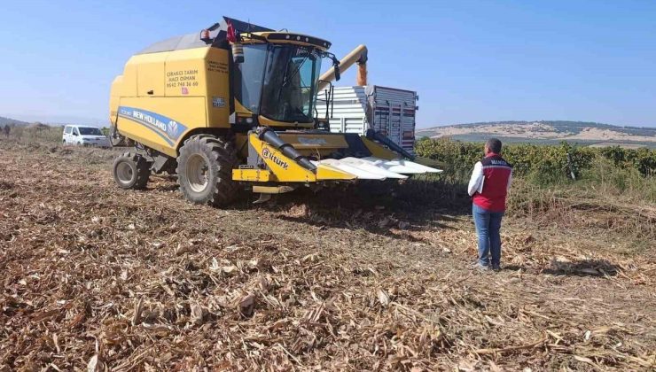 Manisa Akhisar’da dane mısır ve pamuk, Gördes’te süt tankı denetimi yapıldı