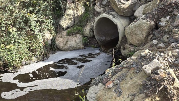 Marmara’da kirliliğe yol açtı! Ceza yağdı!