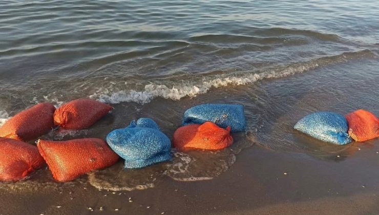 Mudanya’da denetimde 900 kilogram yasa dışı kum şırlanı ele geçirildi