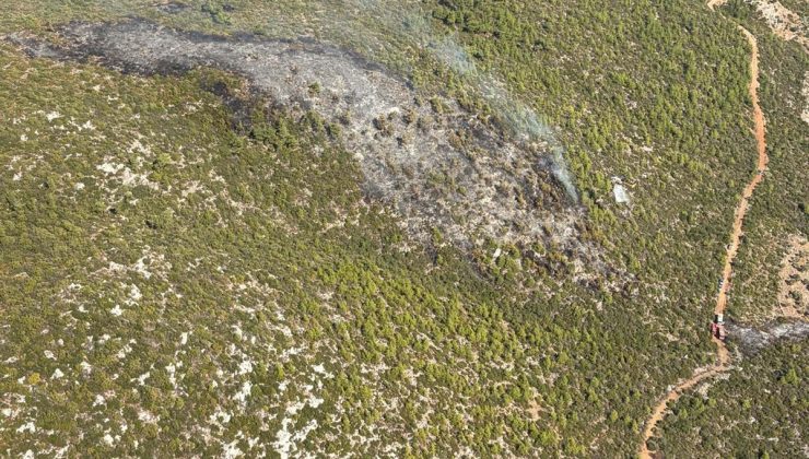 Muğla Bodrum’da orman yangını yaklaşık 2,5 saatlik müdahaleyle kontrol altına alındı