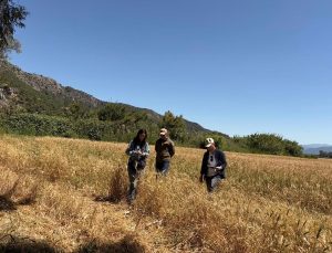 Muğla Dalaman’da 2 bin 500 ton buğday tohumu sertifikalandırıldı