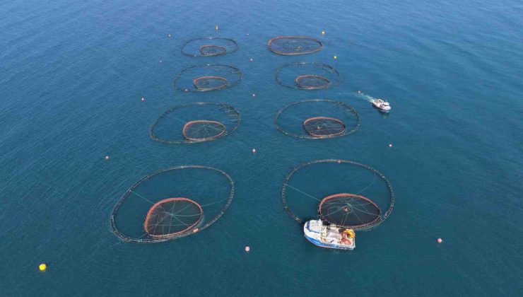 Ordu’da su ürünleri tesisleri denetleniyor, 2025’te 28 milyon euro gelir sağlandı