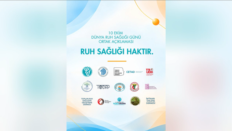 Ruh sağlığı meslek örgütleri sosyal medya erişim engellerinin kaldırılmasını istedi
