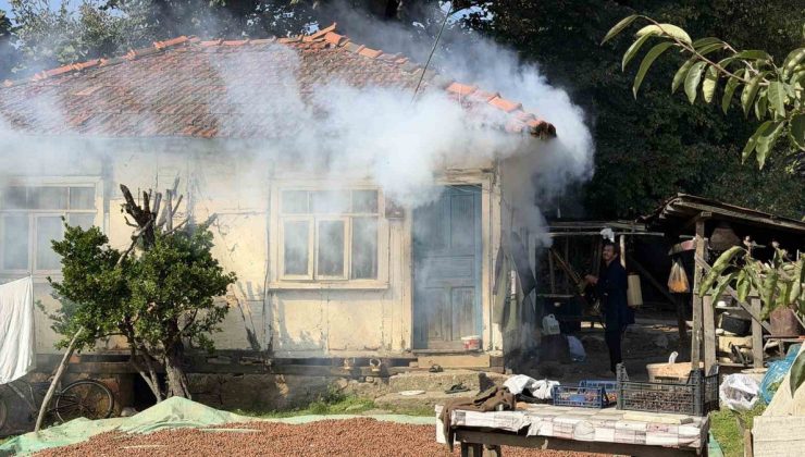 Sakarya Ferizli’de vatandaşlar kokarca istilasına tavuk ve hindilerle mücadele ediyor