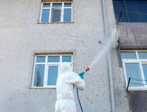 Sakarya’daki mücadele “kışlak” çalışmasıyla sürüyor