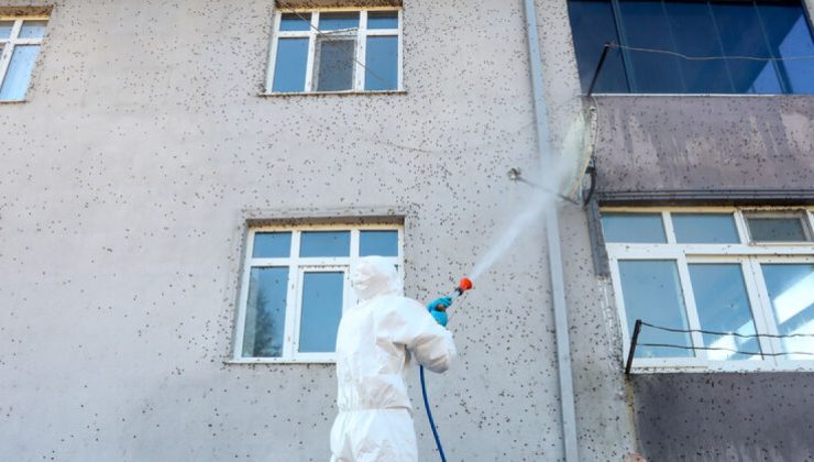Sakarya’daki mücadele “kışlak” çalışmasıyla sürüyor