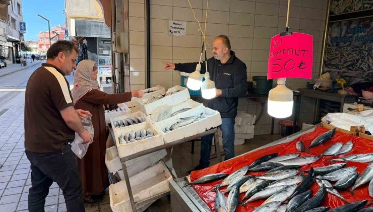 Sinop Türkeli’de tezgahlara gelen palamut 50 TL’den satışa çıktı