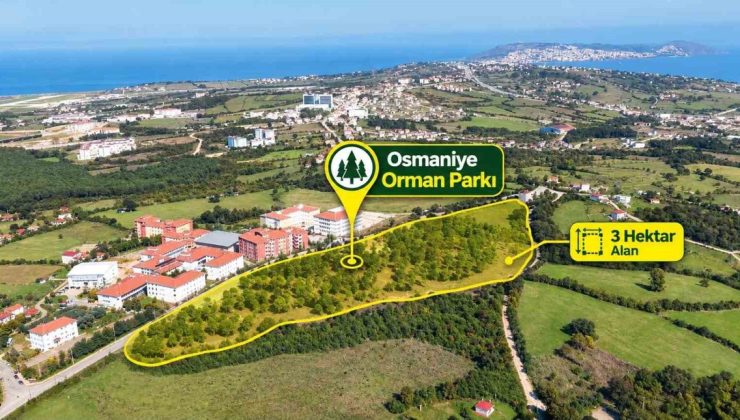 Sinop’taki 3 hektarlık Osmaniye Orman Parkı’nda çalışmalar yüzde 70’e ulaştı
