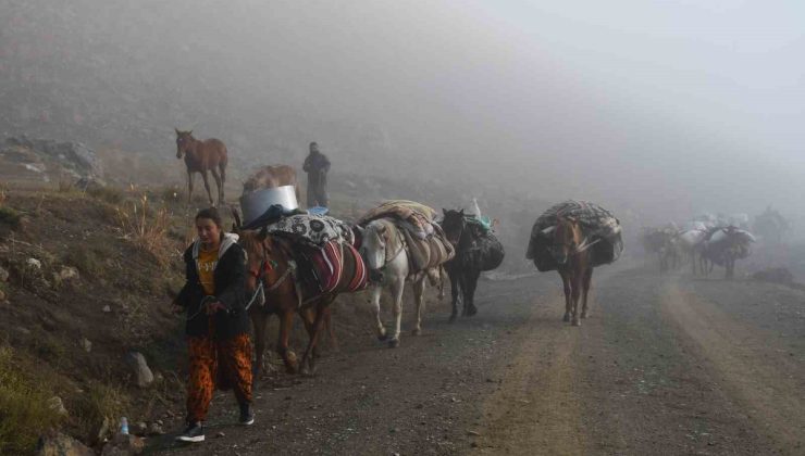 Şırnak’ta son göçer sürüsü soğuk nedeniyle Faraşin Yaylası’ndan 20 günlük yola çıktı