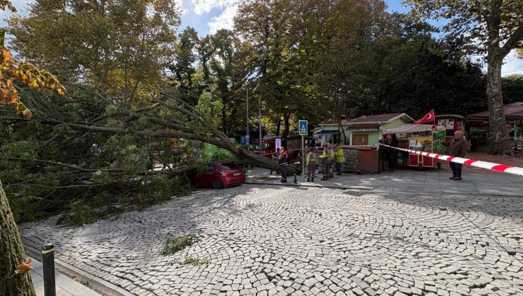Şişli’de ağaç park halindeki otomobilin üzerine devrildi