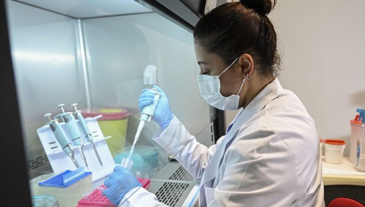 UCLA ve 4 Türk üniversitesi, İstanbul’daki göçmen kuş kenelerini KKKA için inceliyor