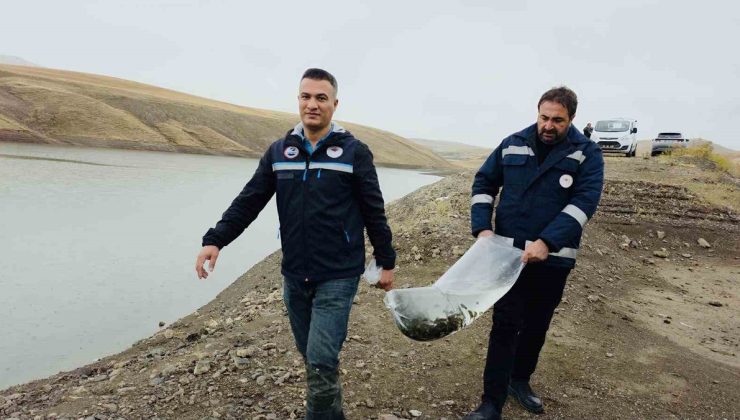 Van’da su ürünleri sektörü kente yılda 25 milyon dolar kazandırıyor